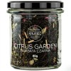 citrus garden.jpg