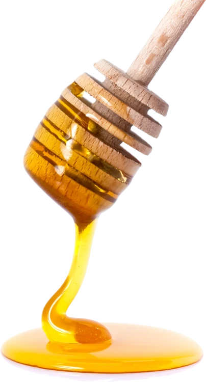 nabierak_do_miodu_2.png